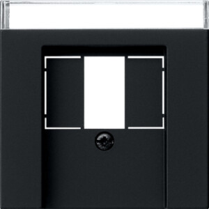 GIRA Cov  In Sp  Tae Usb System 55 Black M