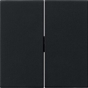 GIRA Rocker 2-G Pb Sw  System 55 Black M
