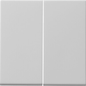 GIRA Rocker 2-G Pb Sw  System 55 Grey M