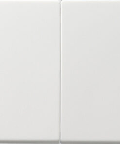 GIRA Rocker 2-G Pb Sw  System 55 P White