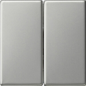 GIRA Rocker 2-G Pb Sw  System 55 Stainl Steel