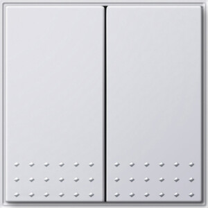 GIRA Rocker 2-G Pb Sw  Gira Tx_44 P White