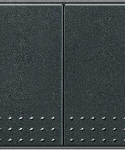GIRA Rocker 2-G Pb Sw  Gira Tx_44 Anthra