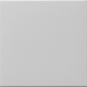 GIRA Rocker Pb Sw  System 55 Grey M