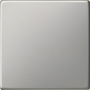 GIRA Rocker Pb Sw  System 55 Stainl Steel