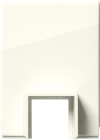 GIRA Adapter Cab Entry Chan  15 X 15 Mm System 55 Cr White