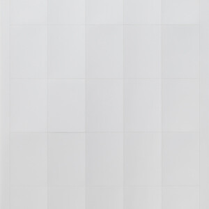 GIRA In Sheets 38 X 54 Mm Accessories