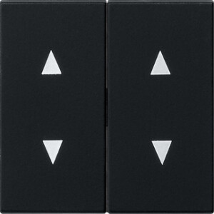 GIRA Rocker 2-G Arrows System 55 Black M