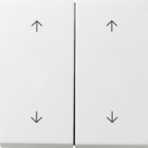 GIRA Rocker 2-G Arrows Gira F100 P White