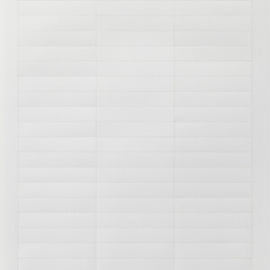 GIRA In Sheets 60 7 X 11 8 Mm Accessories
