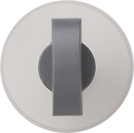 GIRA Toggle Sw  System 55 Anthra