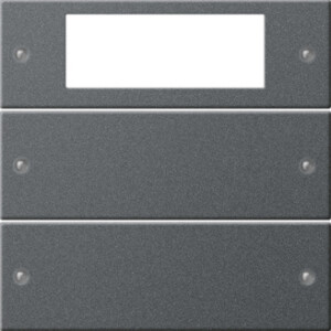 GIRA Rocker Set 2-G Plus System 55 Anthra (Lac )