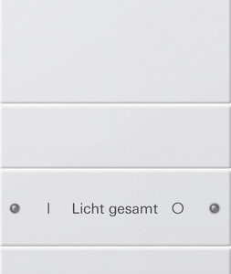 GIRA Rocker Set 4-G (1+3) Inscr  System 55 P White(Lac )