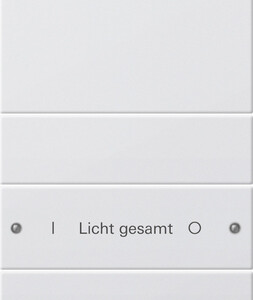 GIRA Rocker Set 4-G (1+3) Inscr  System 55 P White M(Lac )