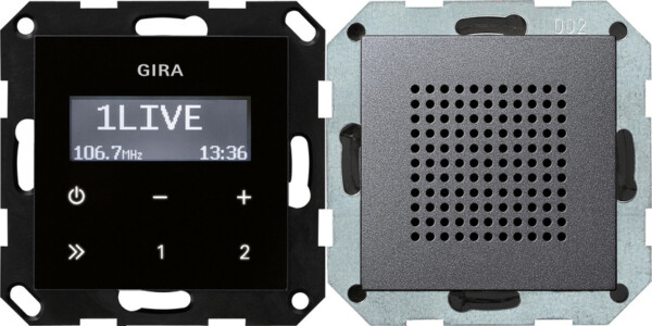 GIRA Rds Fm Radio Speaker System 55 Anthra