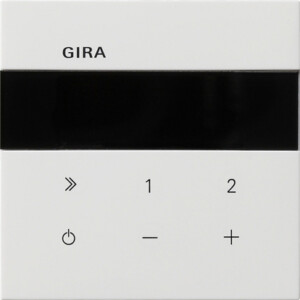 GIRA Ip Flush-M  Radio Gira F100 P White