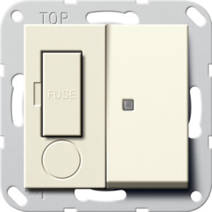 GIRA Fused Spur Bs 13 A Switched + Ctrl L  System 55 Cr White