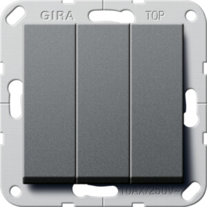 GIRA Rocker Sw  3-G 2-Way System 55 Anthra