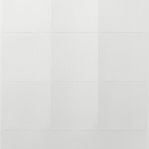 GIRA In Sheets 69 X 67 Mm Accessories P White