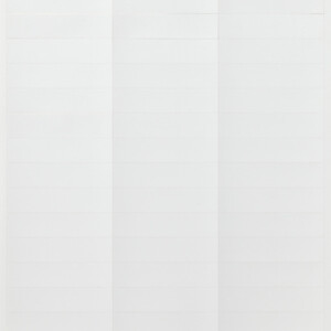 GIRA In Sheets 15 8 X 67 Mm Accessories P White