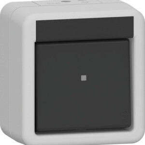 GIRA Rocker Sw  Cb 2-P Wp Sm Grey