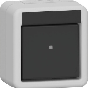 GIRA Rocker Sw  Off/2-Way Wp Sm Grey