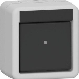 GIRA Rocker Sw  Interm Sw  Wp Sm Grey