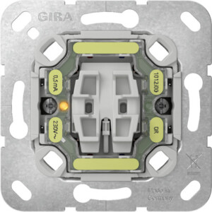 GIRA Rock Ind Sw  Cb 2-P Insert