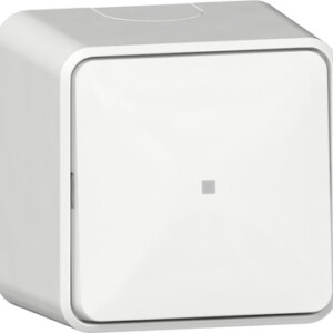 GIRA Rock Ind Sw  Off/2-Way + Mount Pl  Sm P White