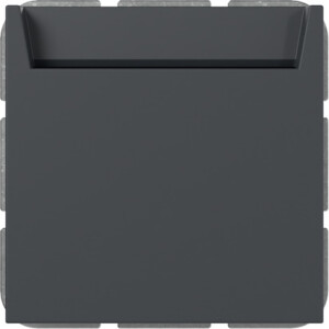 GIRA Hotel-Card No Con  + N Term  System 55 Anthra