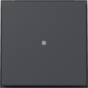 329067.jpg