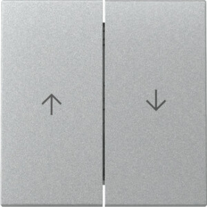 GIRA Rocker 2-G Arrow System 55 C Alum