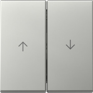 GIRA Rocker 2-G Arrow System 55 Stainl Steel