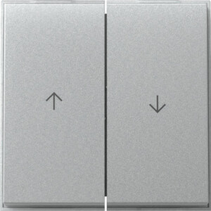 GIRA Rocker 2-G Arrow Gira Tx_44 (Wp Fm) C Alum