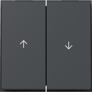 GIRA Rocker 2-G Arrow Gira Tx_44 (Wp Fm) Anthra