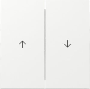 329470.jpg
