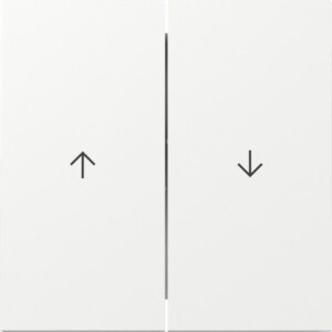 GIRA Rocker 2-G Arrow Gira F100 P White