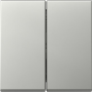 GIRA Rocker 2-G System 55 Stainl Steel