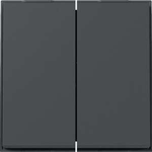 GIRA Rocker 2-G Gira Tx_44 (Wp Fm) Anthra