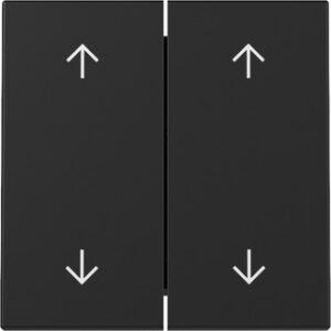 3297005.jpg