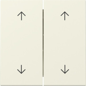 GIRA Rocker 2-G Arrows System 55