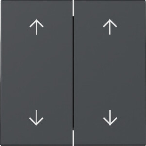 GIRA Rocker 2-G Arrows System 55 Anthra