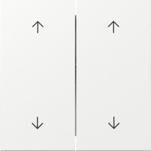 GIRA Rocker 2-G Arrows Gira F100 P White