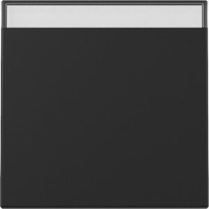 3299005.jpg