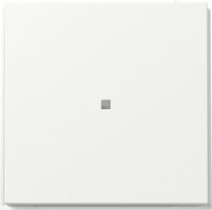 349066.jpg