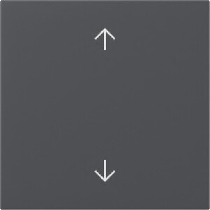 GIRA Rocker Arrows System 55 Anthra