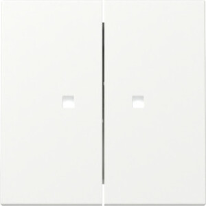 GIRA Rocker 2-G Ctrl Win  System 55 P White M