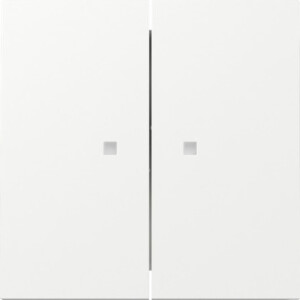 GIRA Rocker 2-G Ctrl Win  Gira F100 P White