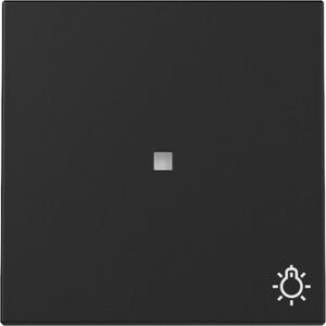 3674005.jpg