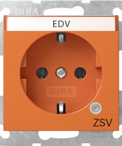 GIRA Schuko Ctrl L Gn + In Sp  Impr Zsv System 55 Orange
